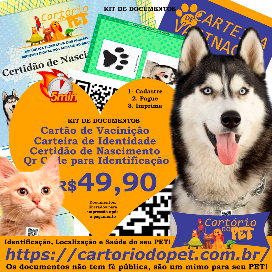 Foto Padrão